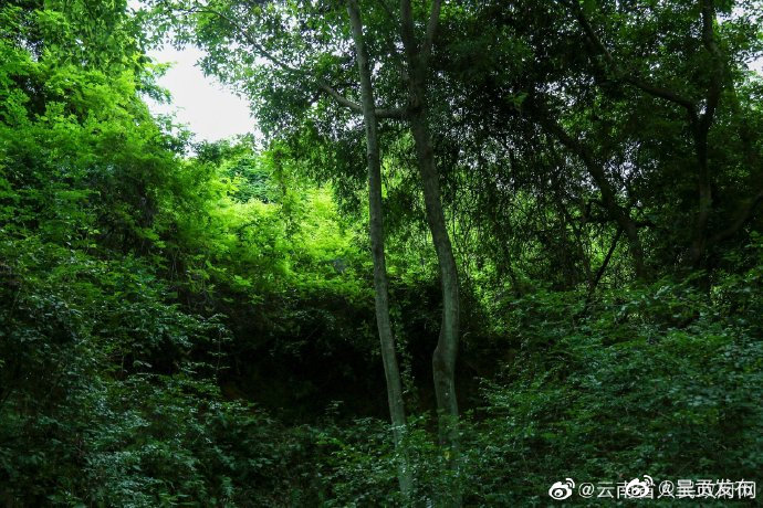 呈贡发布