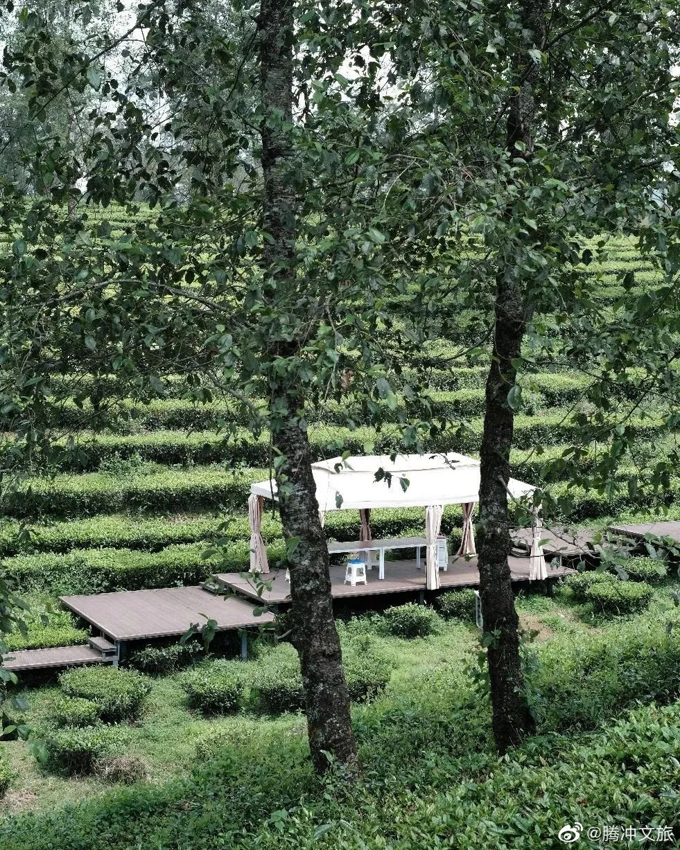 腾冲文旅微博