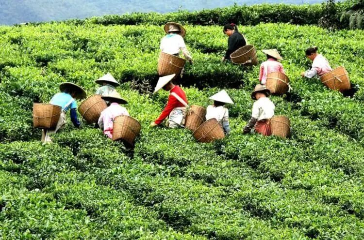 昆明市农业农村局