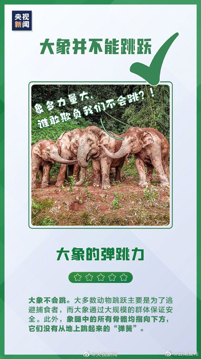 “云南发布”微博