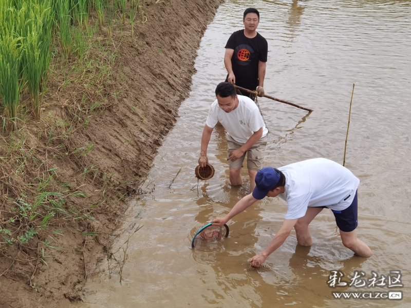 新华网云南频道