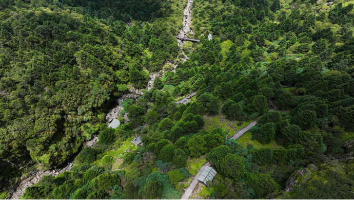 昆明轿子山旅游