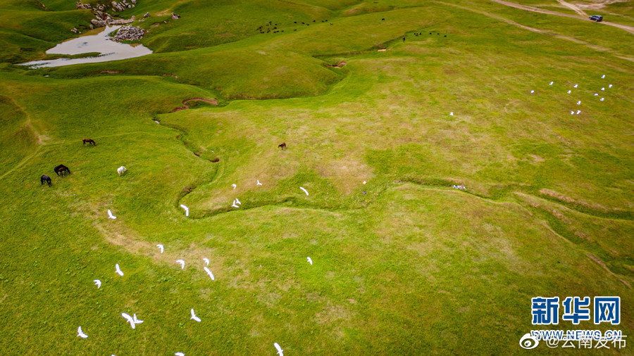 “云南发布”微博