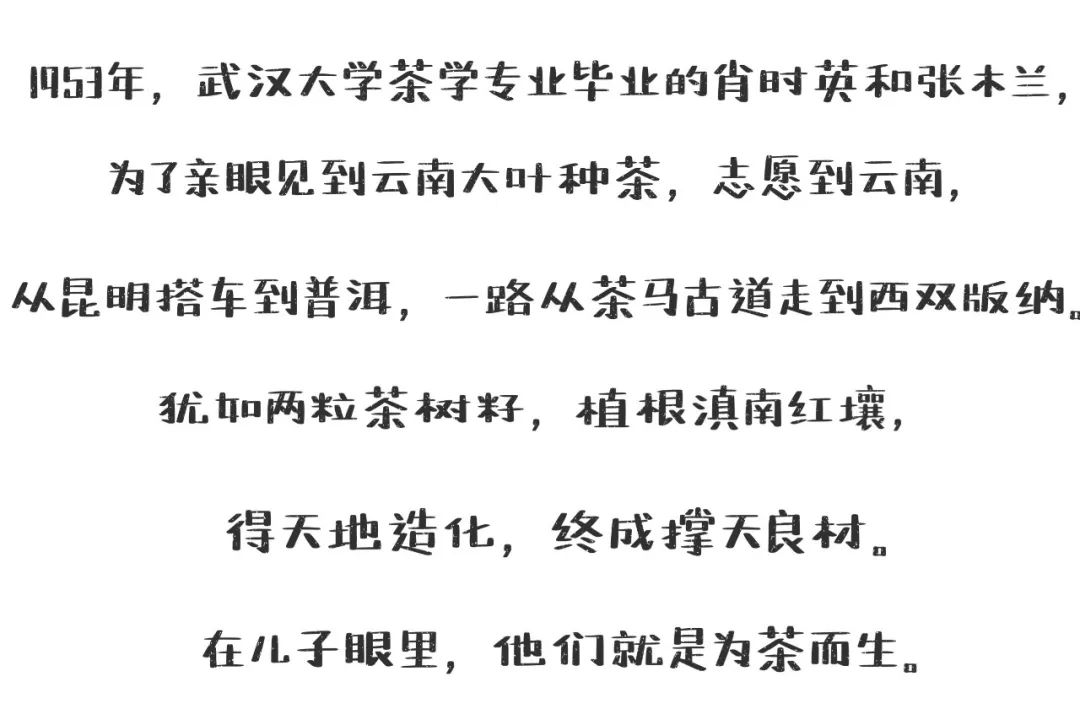 普洱日报