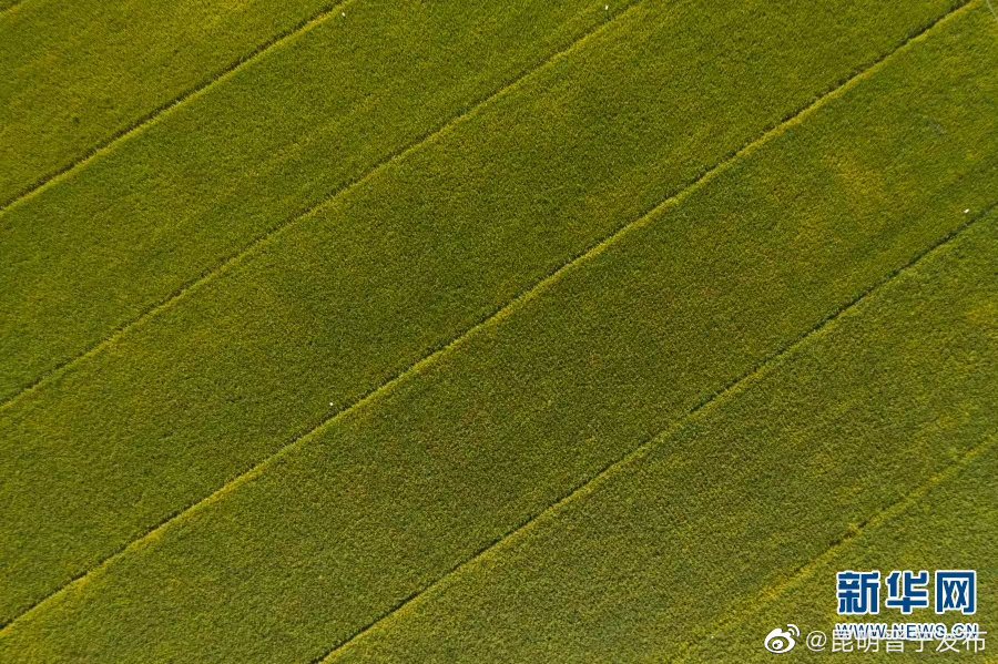昆明晋宁发布