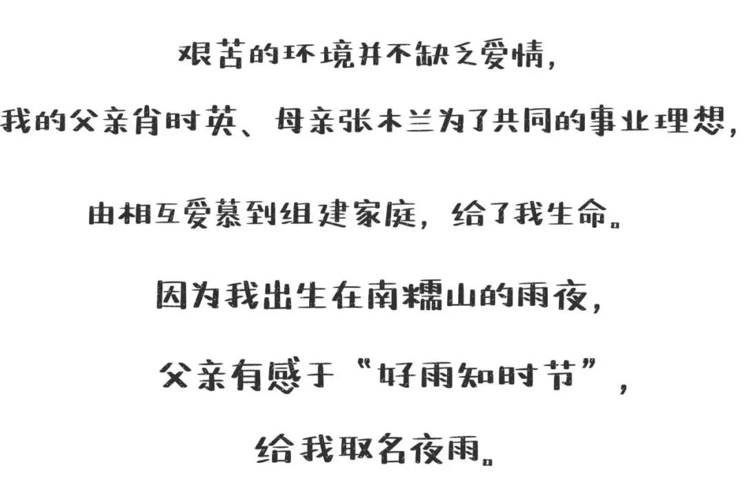 普洱日报