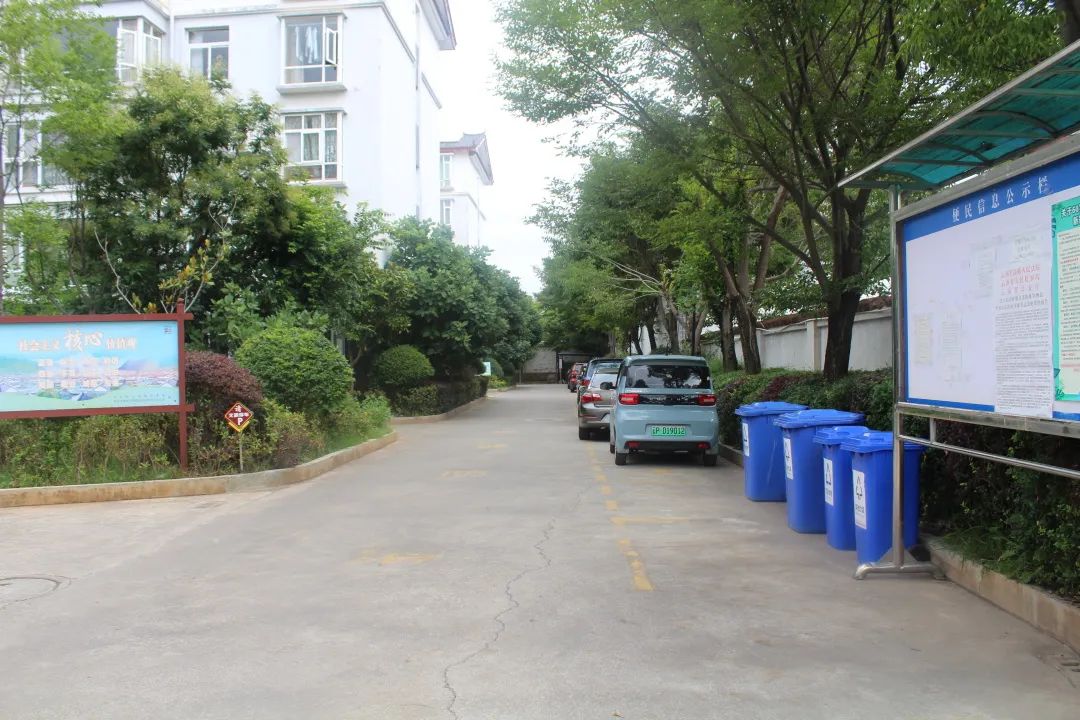 丽江日报