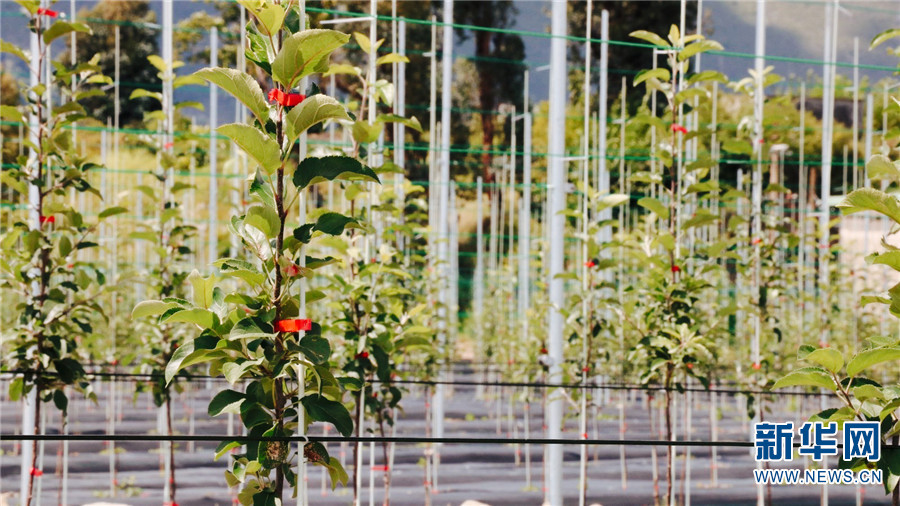 云南省文化和旅游厅