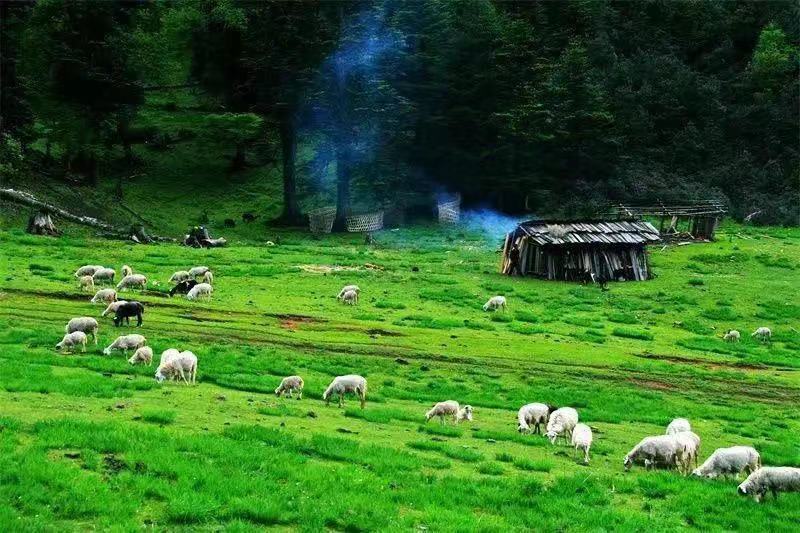 云南省文化和旅游厅