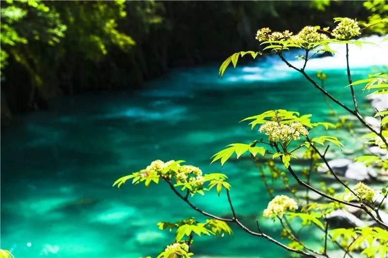 云南省文化和旅游厅