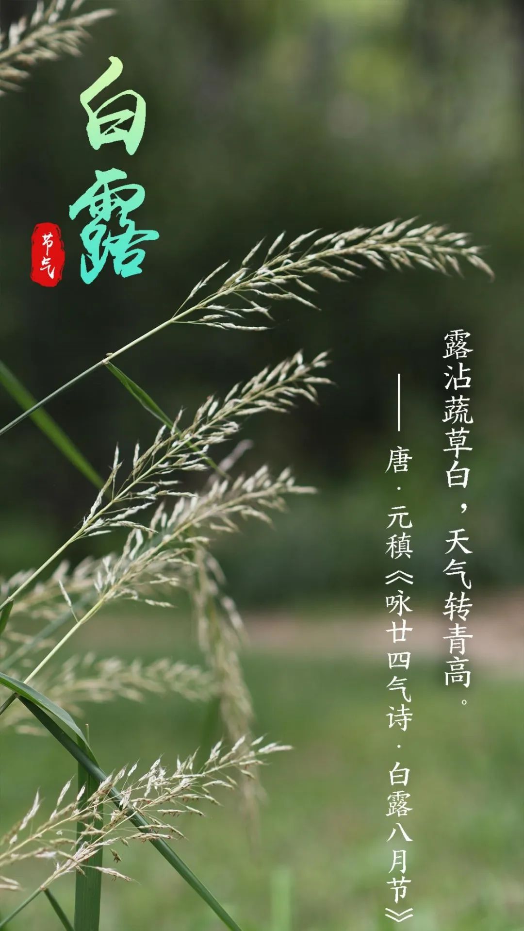 保山广播电视台