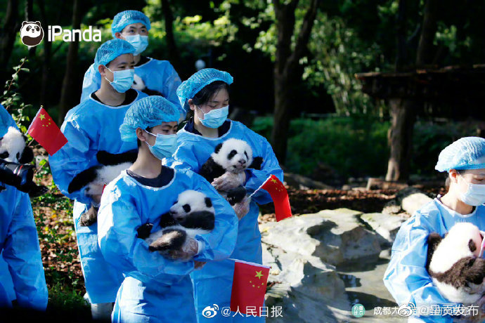 呈贡发布