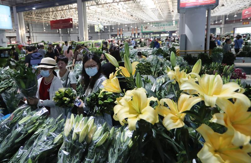 云南省文化和旅游厅