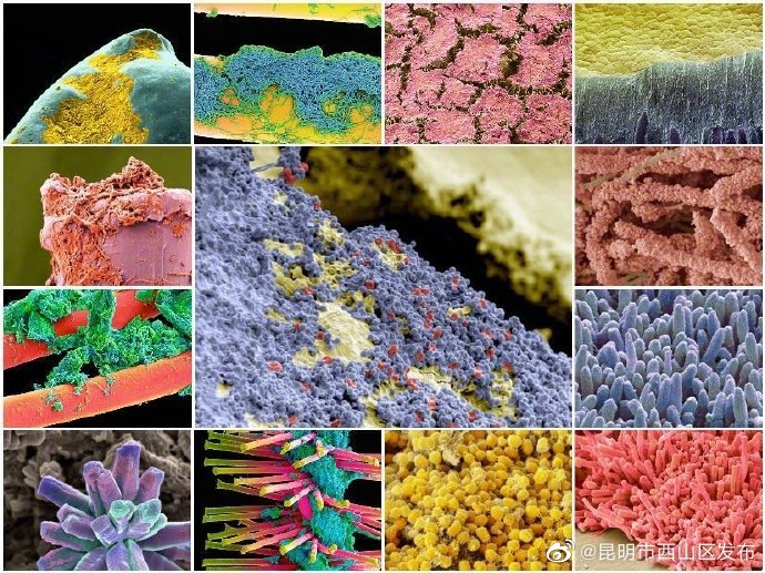 昆明市西山区发布