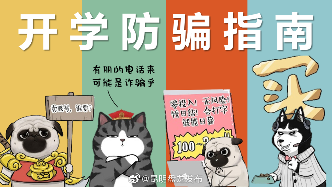 报告老师！反诈作业做好了，请检查~