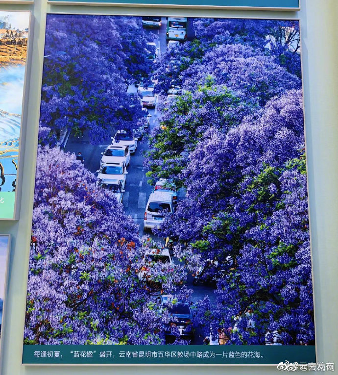 “云南发布”微博