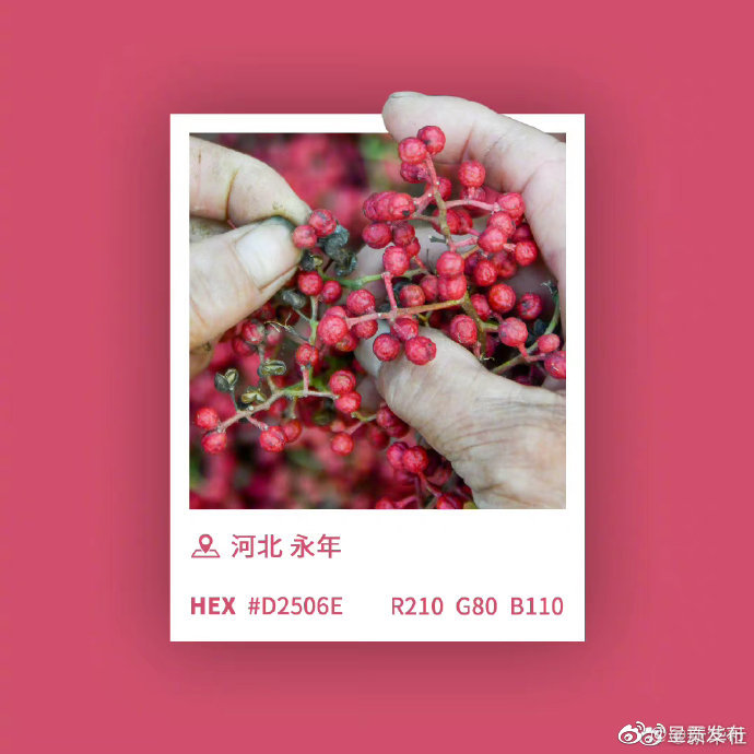 呈贡发布