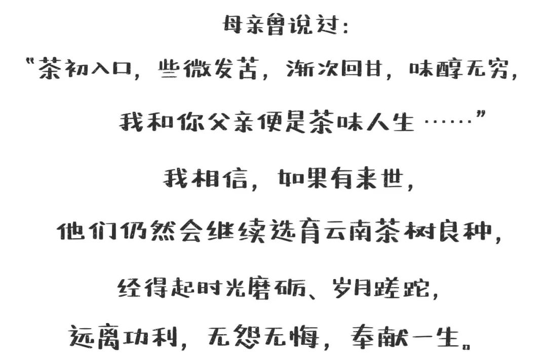 普洱日报