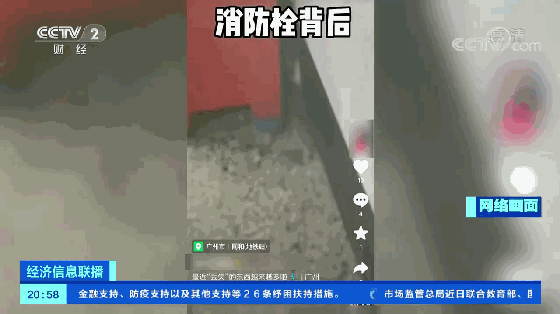春城晚报