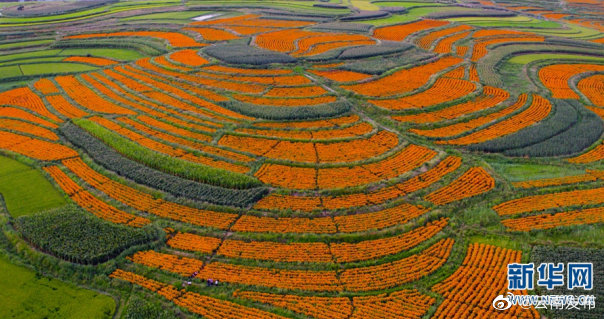 “云南发布”微博