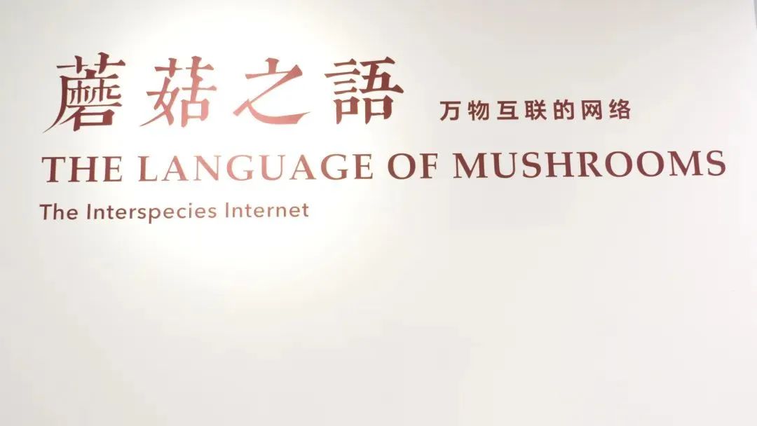 昆明文旅