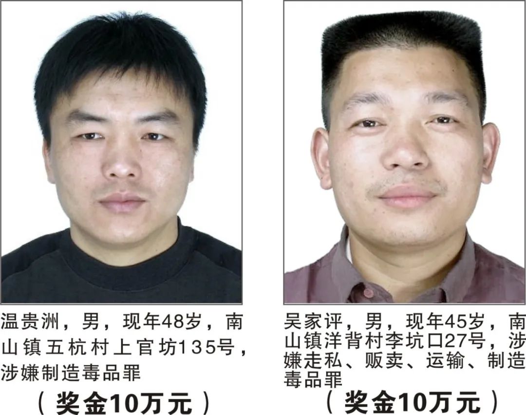 掌上春城