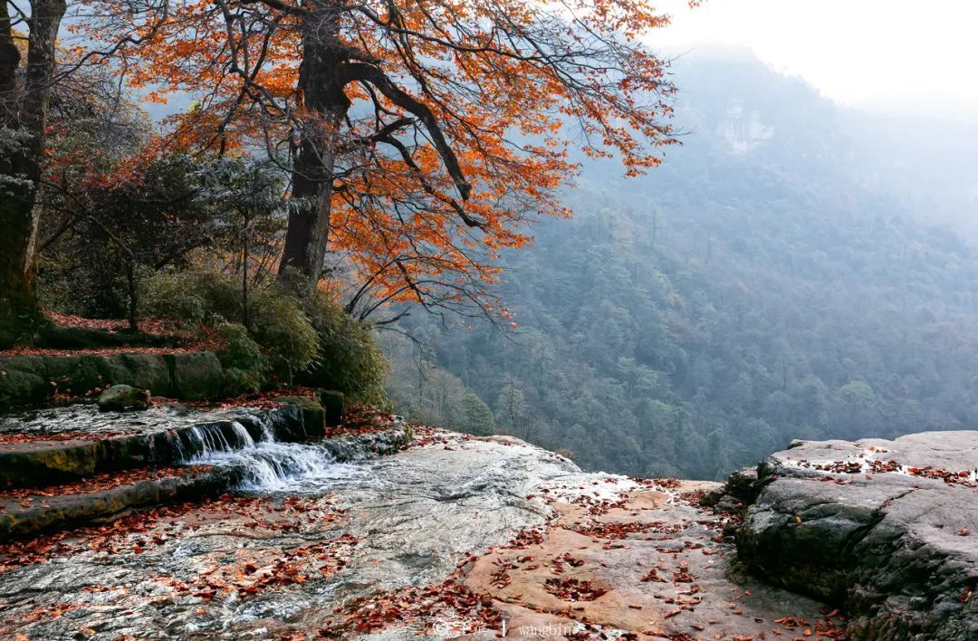 云南省文化和旅游厅