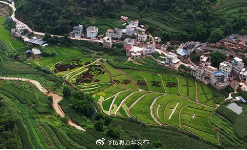 “昆明五华发布”微博