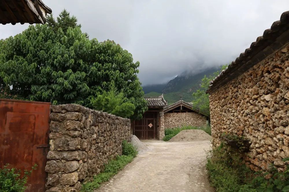 丽江日报
