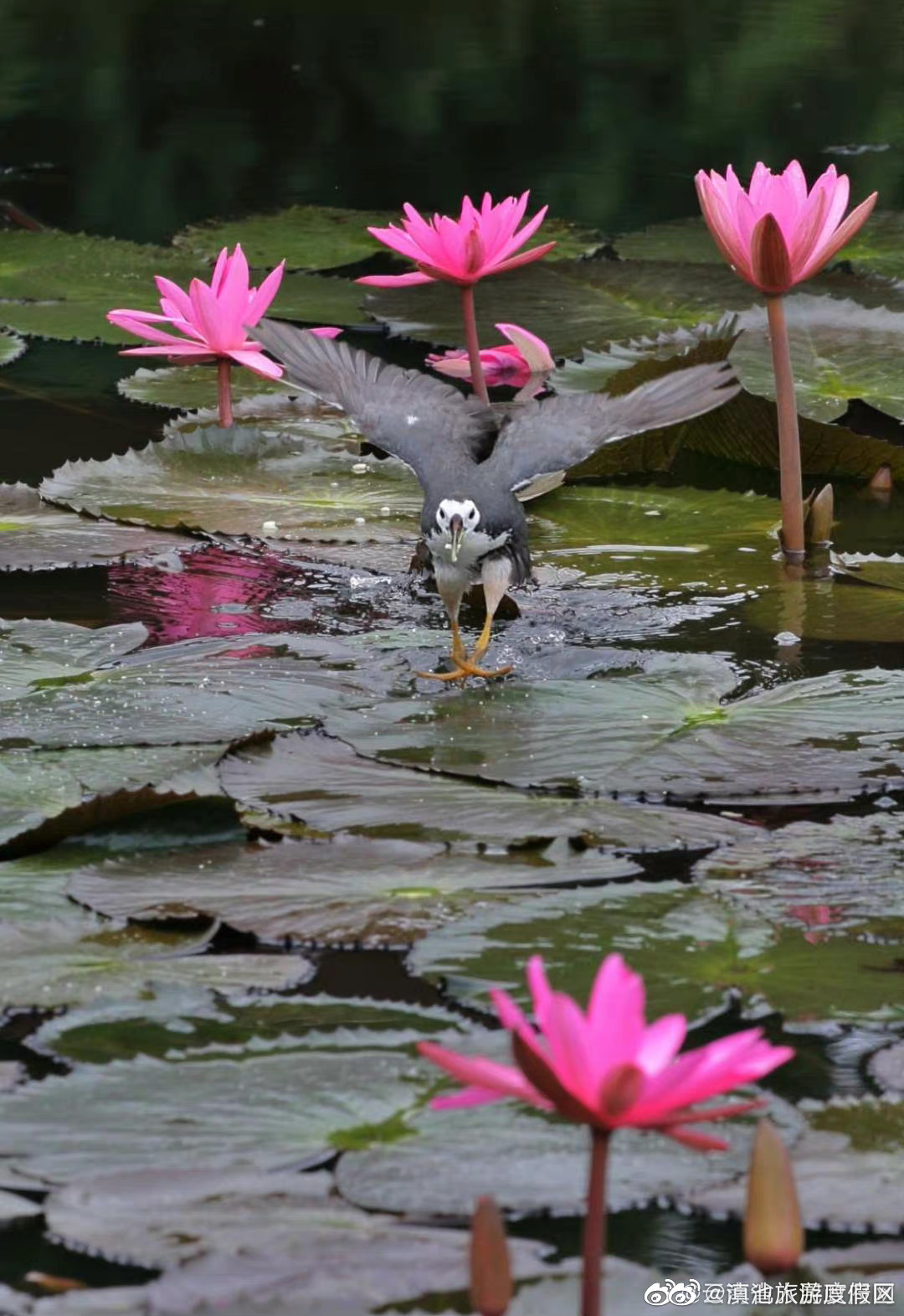 滇池旅游度假区
