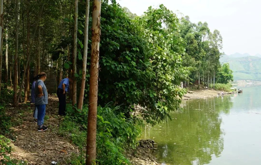 云南省人民检察院