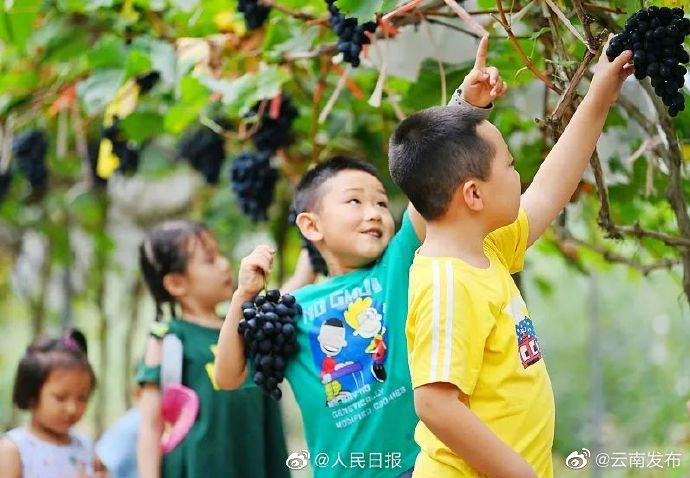 “云南发布”微博