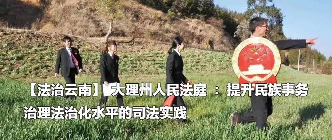云南政法