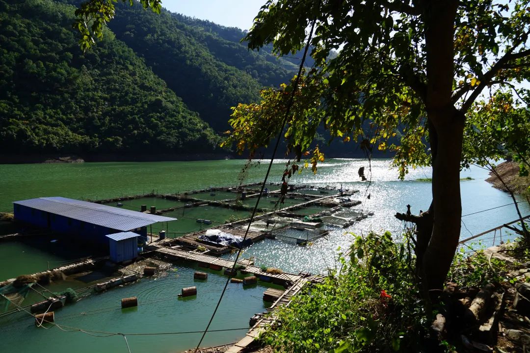 云南省人民检察院