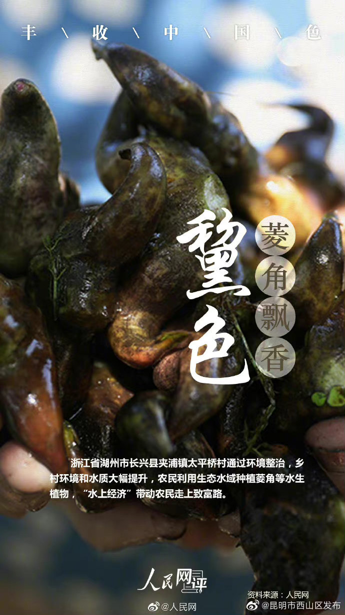 昆明市西山区发布