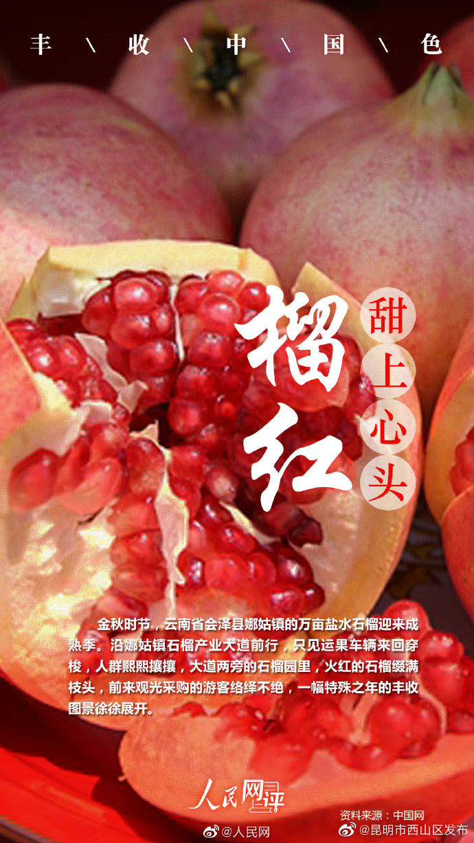 昆明市西山区发布