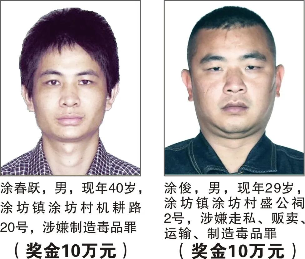 掌上春城