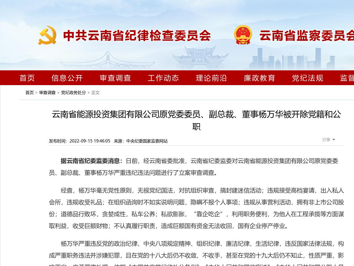 云南省能源投资集团有限公司原党委委员、副总裁、董事杨万华被开除党籍和公职