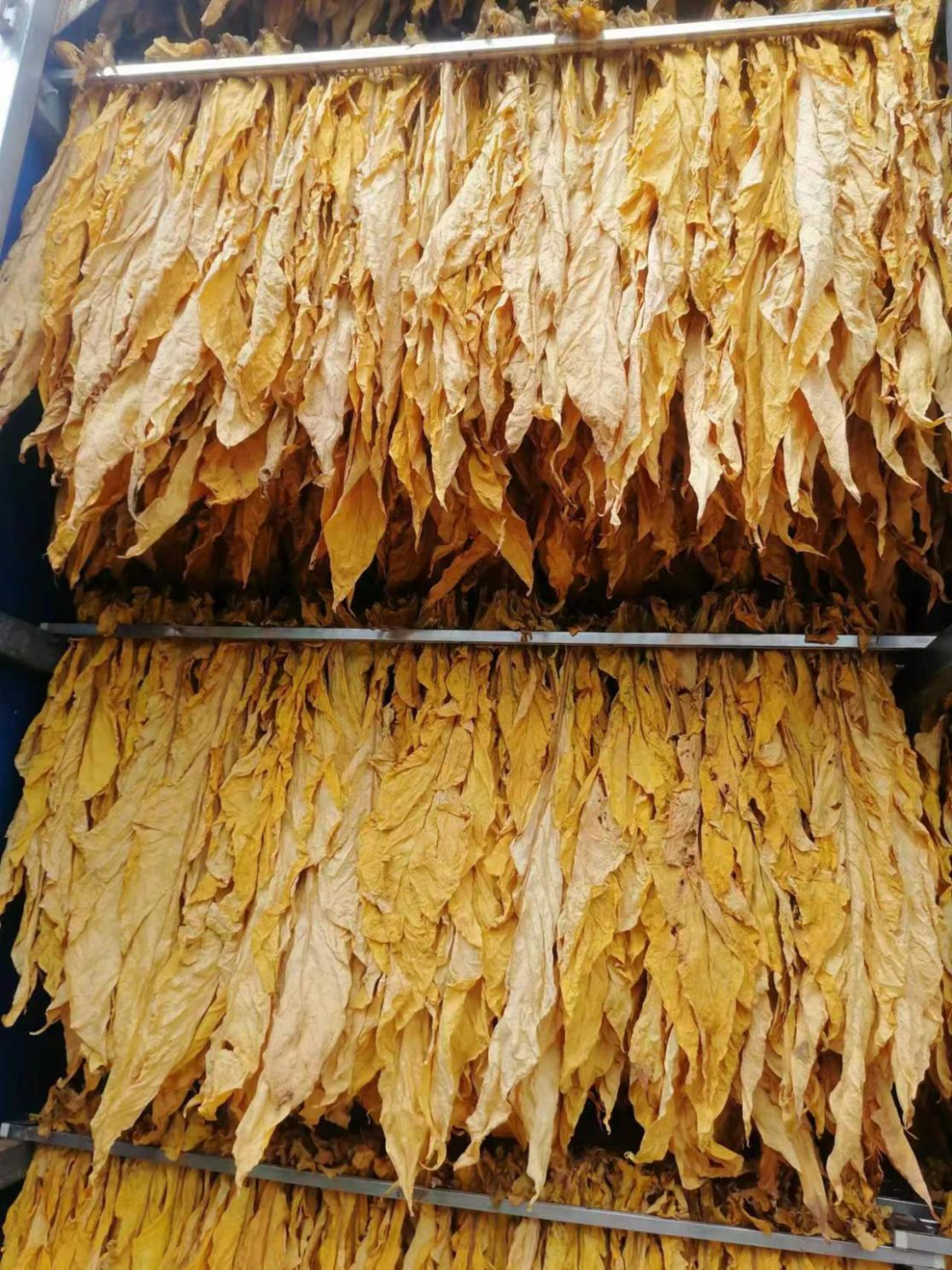 悦读嵩明
