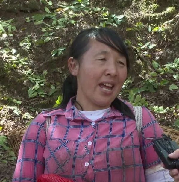 大理电视台