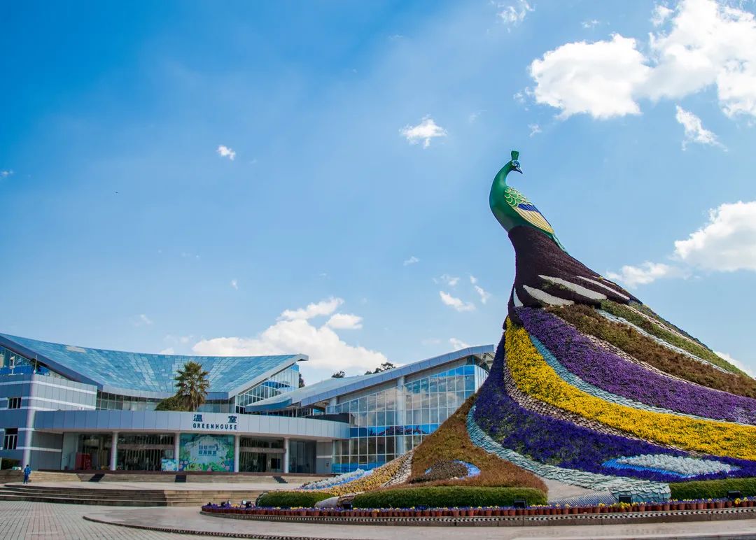 昆明文旅