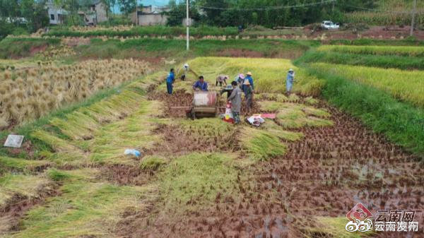 “云南发布”微博