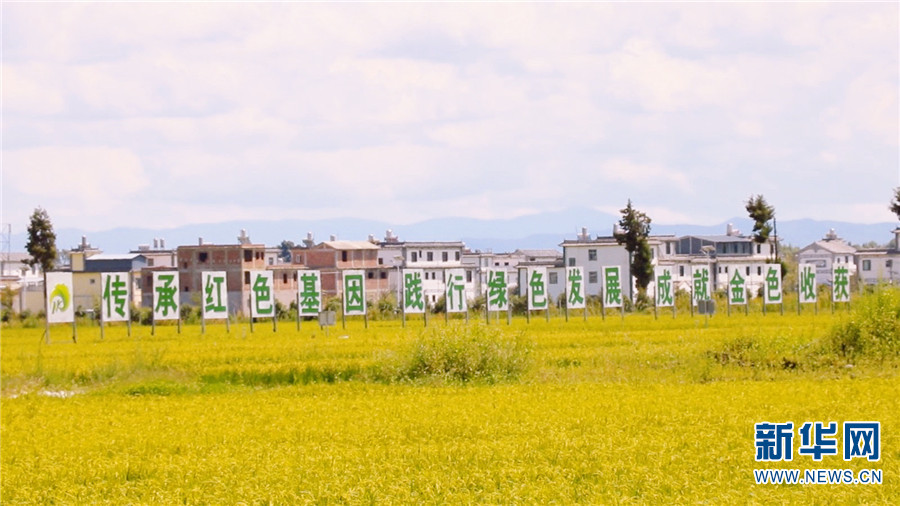 云南省文化和旅游厅