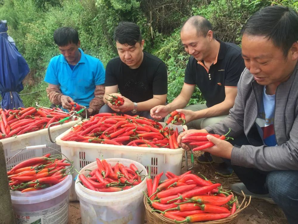 玉溪发布