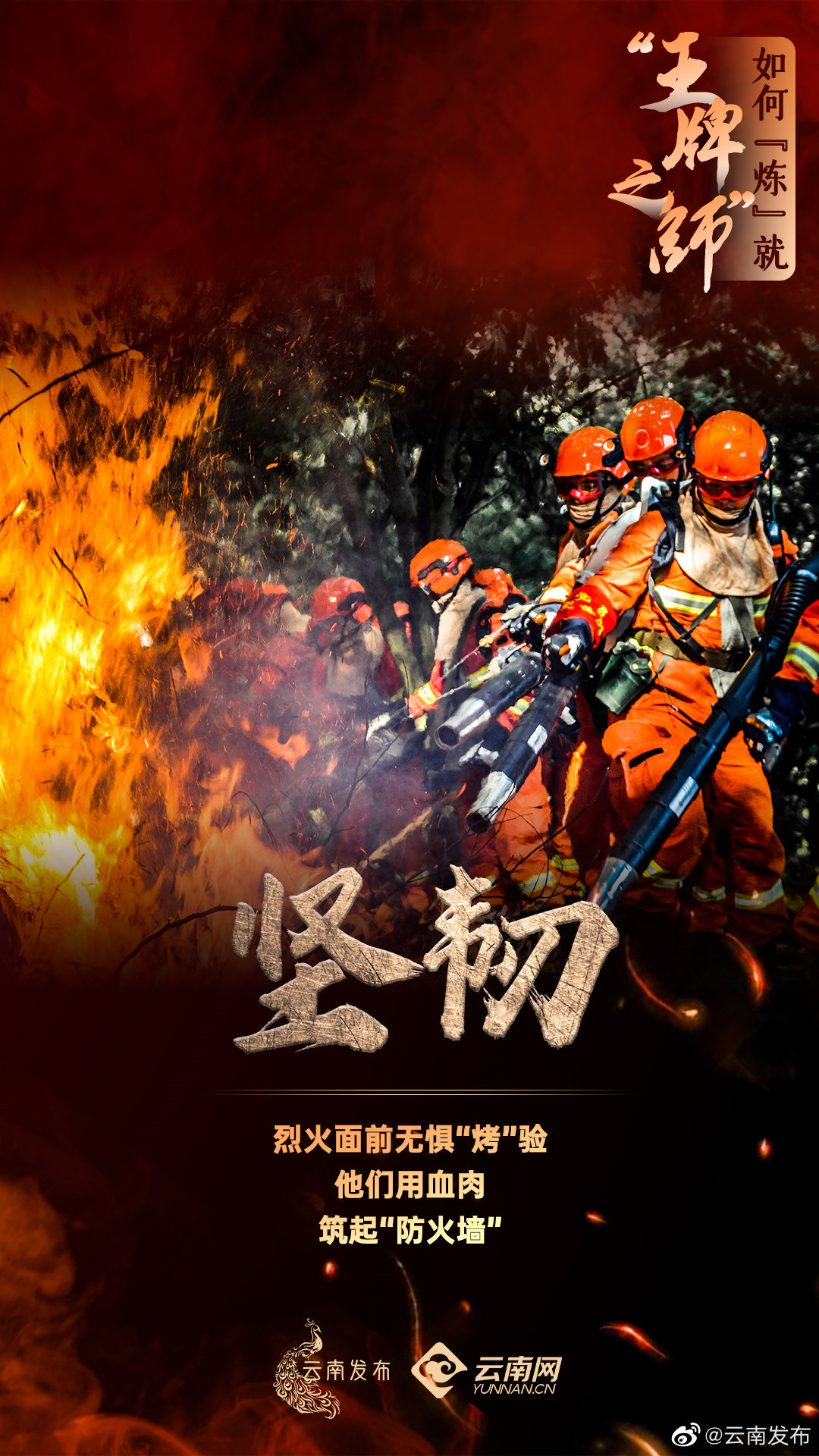 "王牌之师"如何"炼"就 - 资讯频道