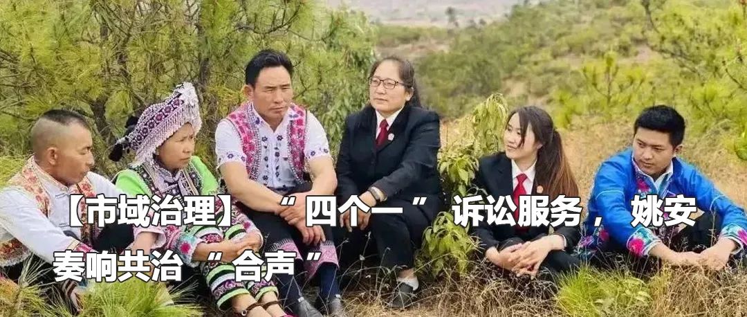 云南政法