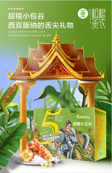 微观盘龙
