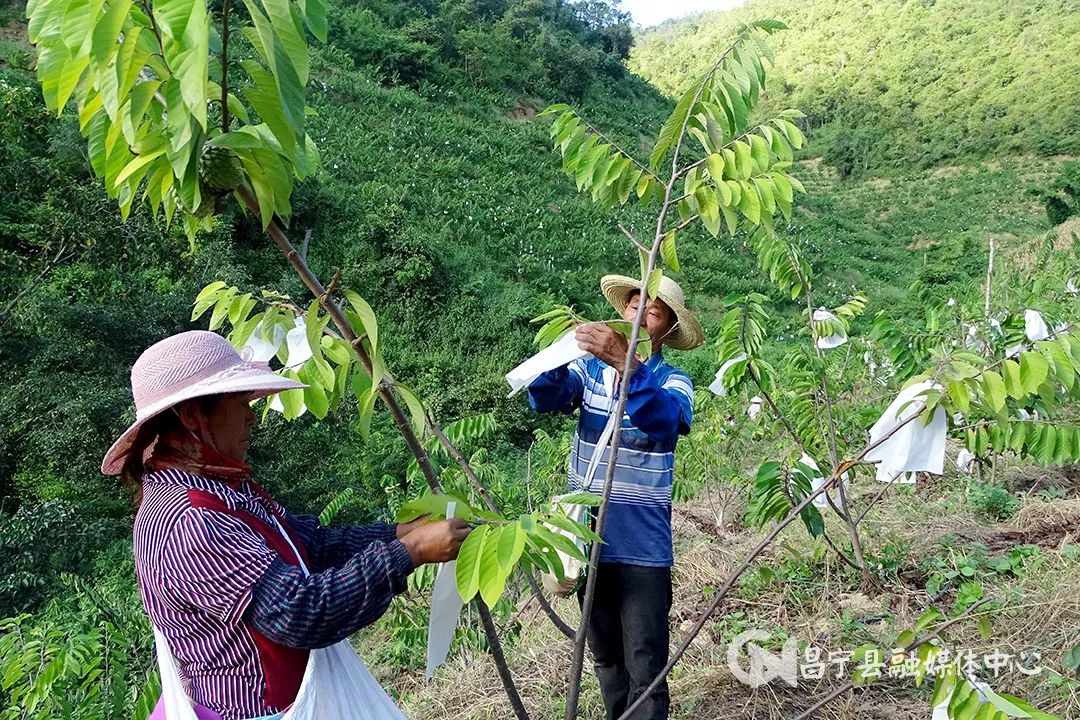 保山新闻网