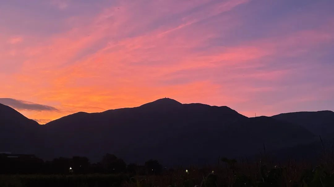 云南省文化和旅游厅