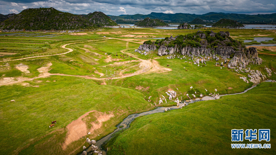 云南省文化和旅游厅